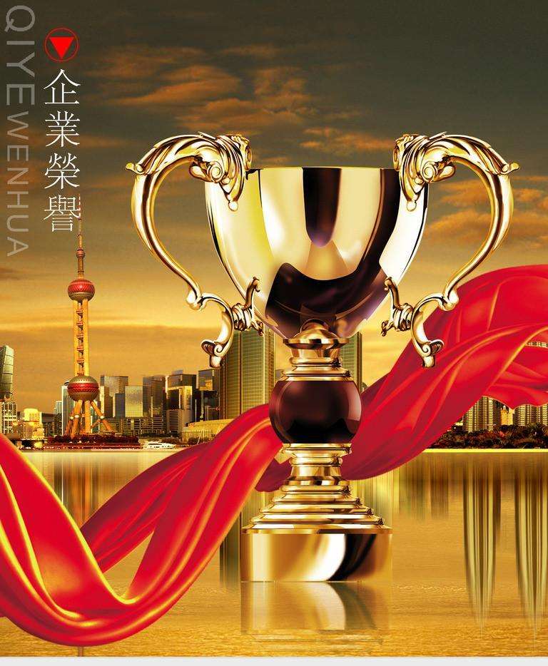 榮譽(yù)證書 (20)