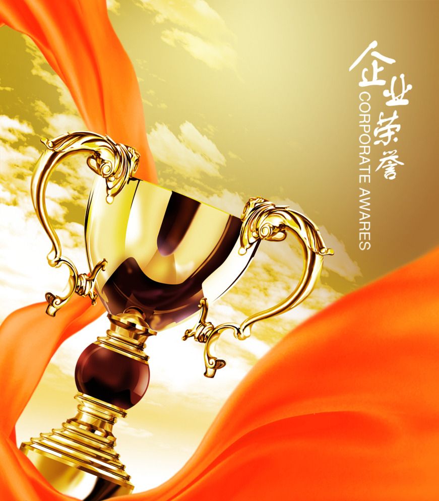 榮譽(yù)證書 (23)